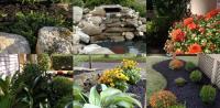 A Force Of Nature Landscaping LLC image 3